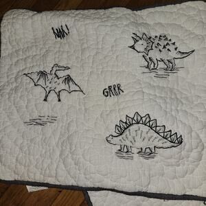 2 Pottery Barn Kids Desi Dinosaur White Quilted Standard Pillow Sham Two Set